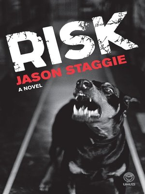 cover image of Risk